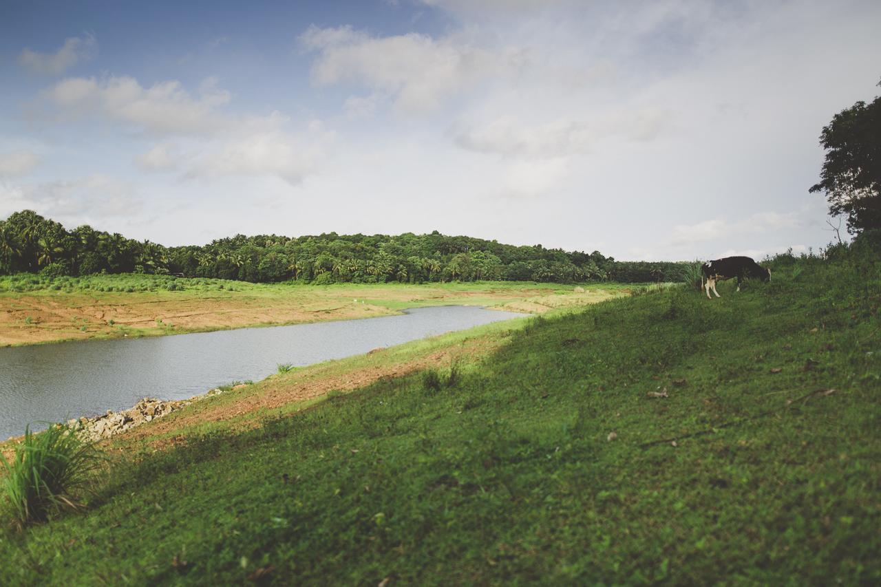 Riverine Springs Wadakkanchery エクステリア 写真